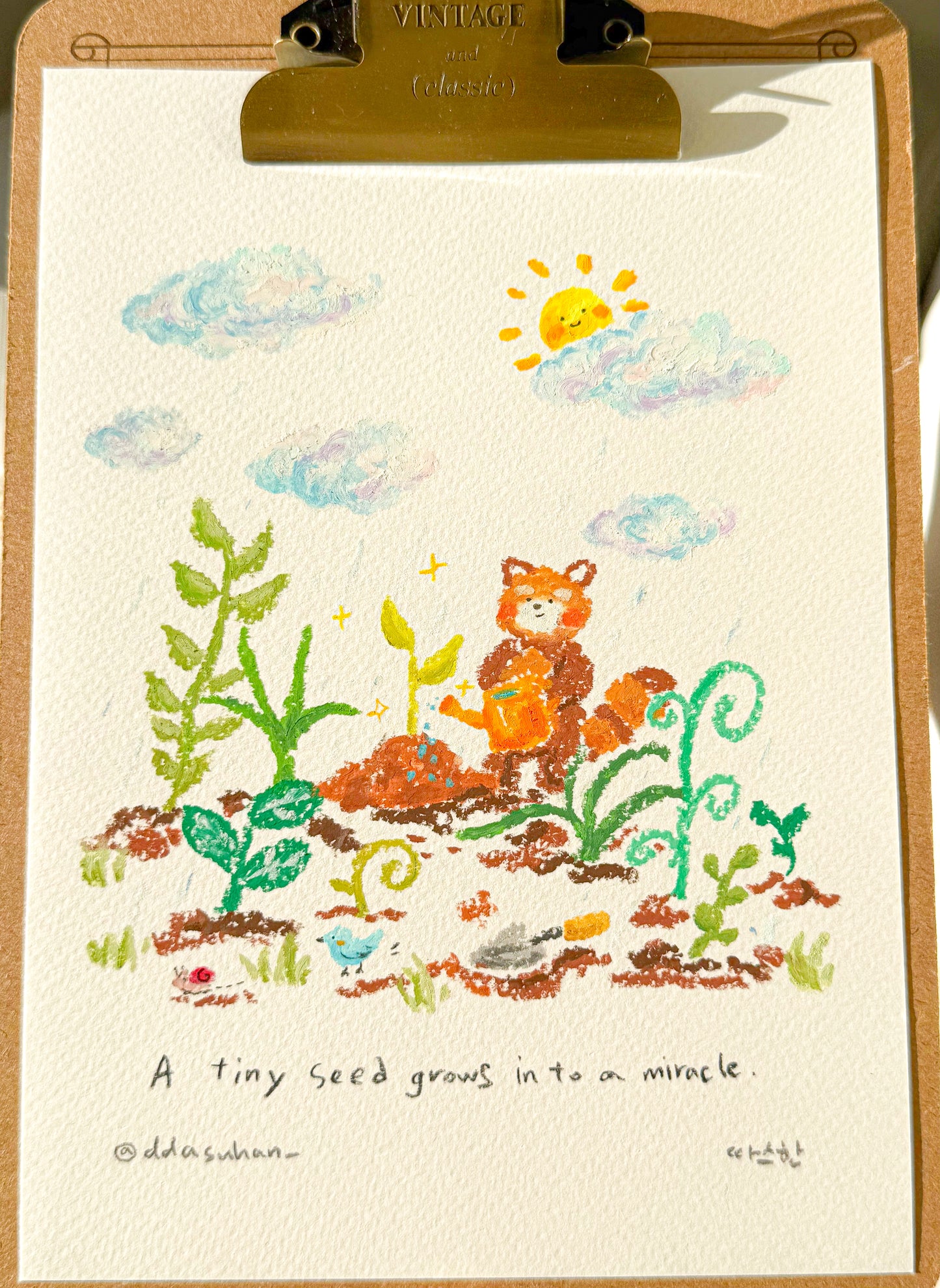 Hope Series Rocky: A seed of hope