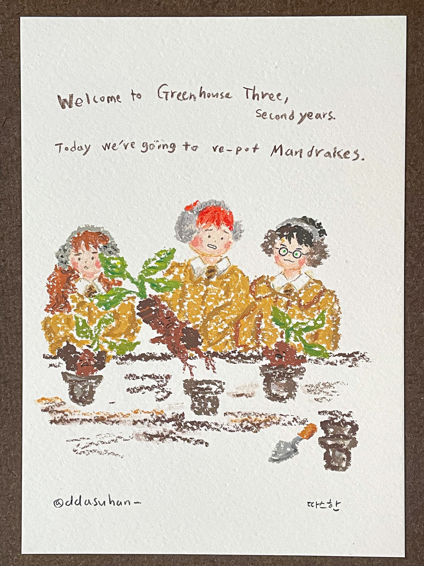 Mandrake Potting